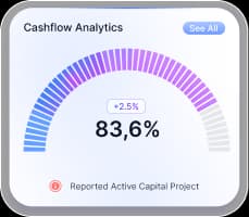 Custom startup financial report chart