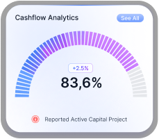 Custom startup financial report chart